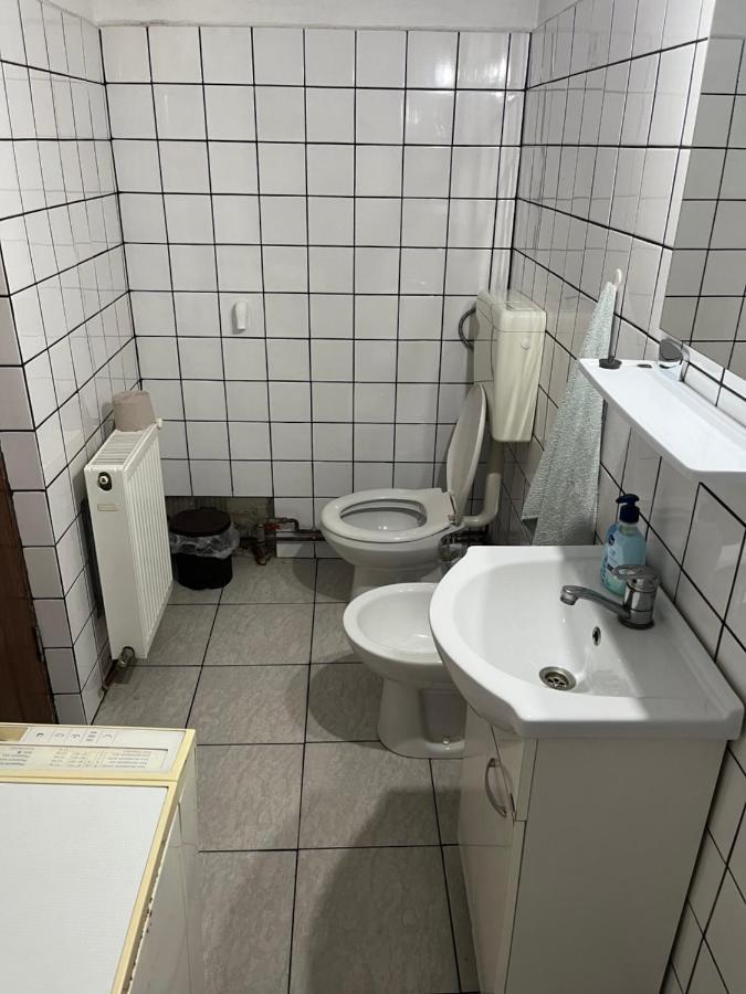 Апартаменты Casa Lucian Кырцишоара Экстерьер фото
